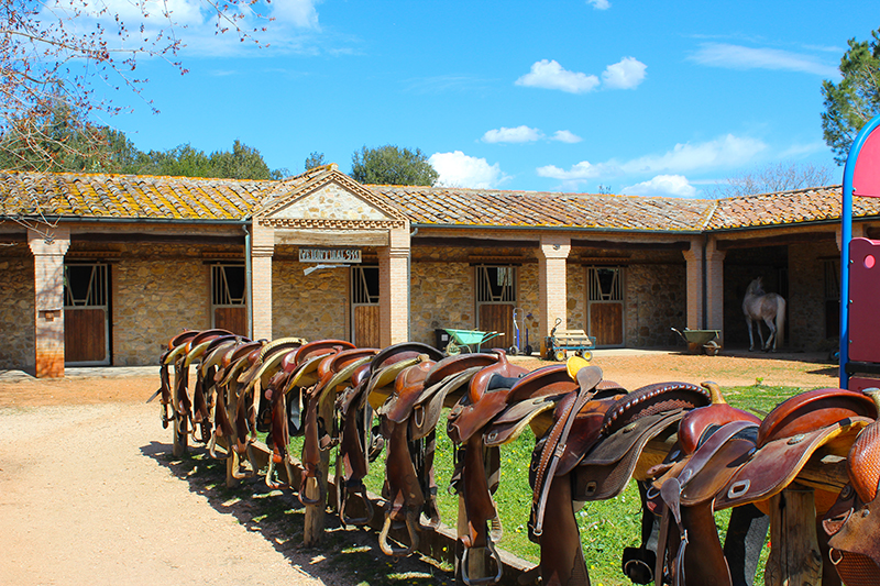 American saddles