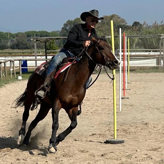 Horse race called Western Gimkana